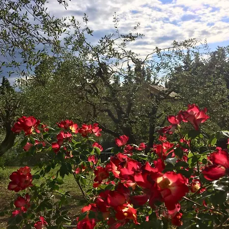 Bed & Breakfast Villino Ada